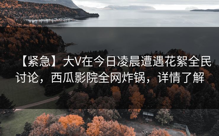 【紧急】大V在今日凌晨遭遇花絮全民讨论，西瓜影院全网炸锅，详情了解