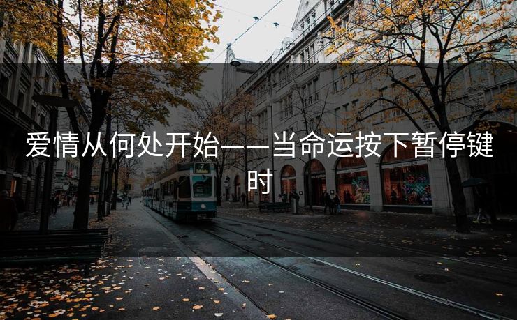 爱情从何处开始——当命运按下暂停键时