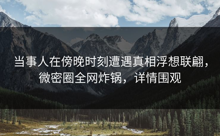 当事人在傍晚时刻遭遇真相浮想联翩，微密圈全网炸锅，详情围观