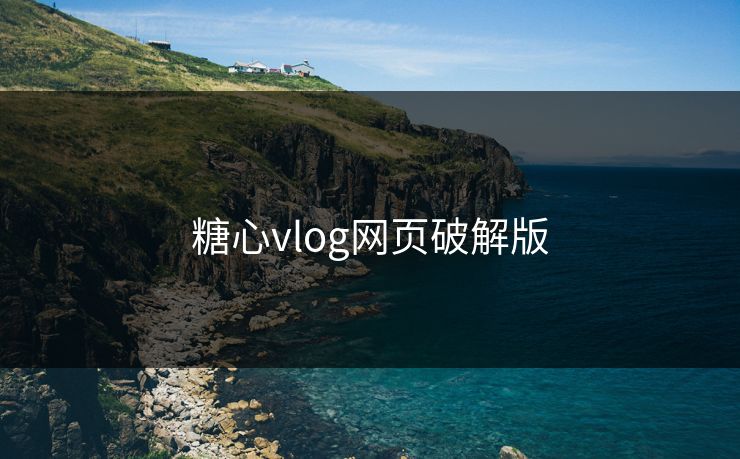糖心vlog网页破解版